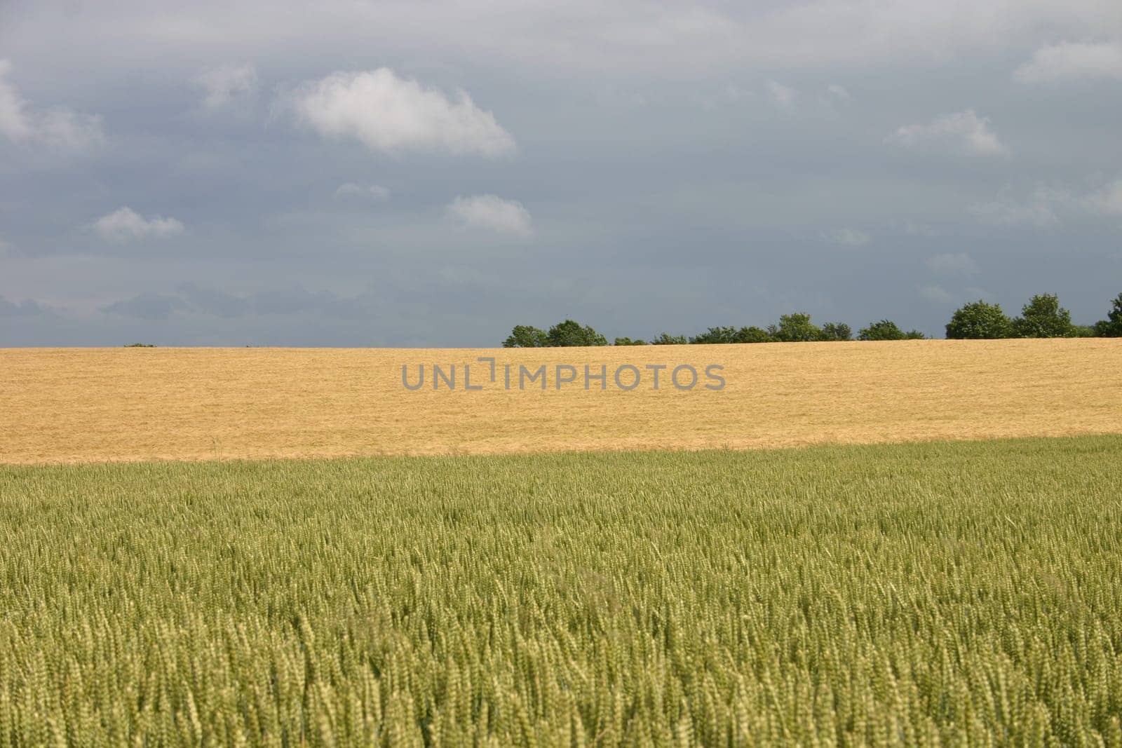 Cultural landscape