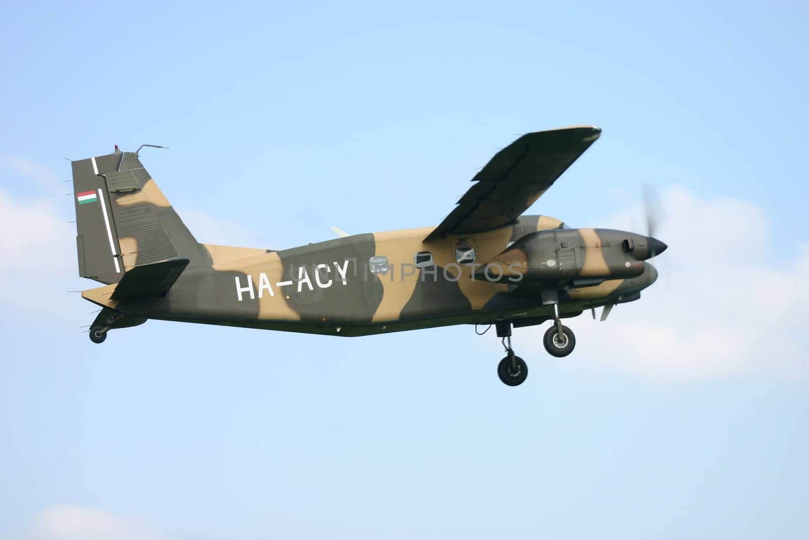 Spotted camouflage flyer