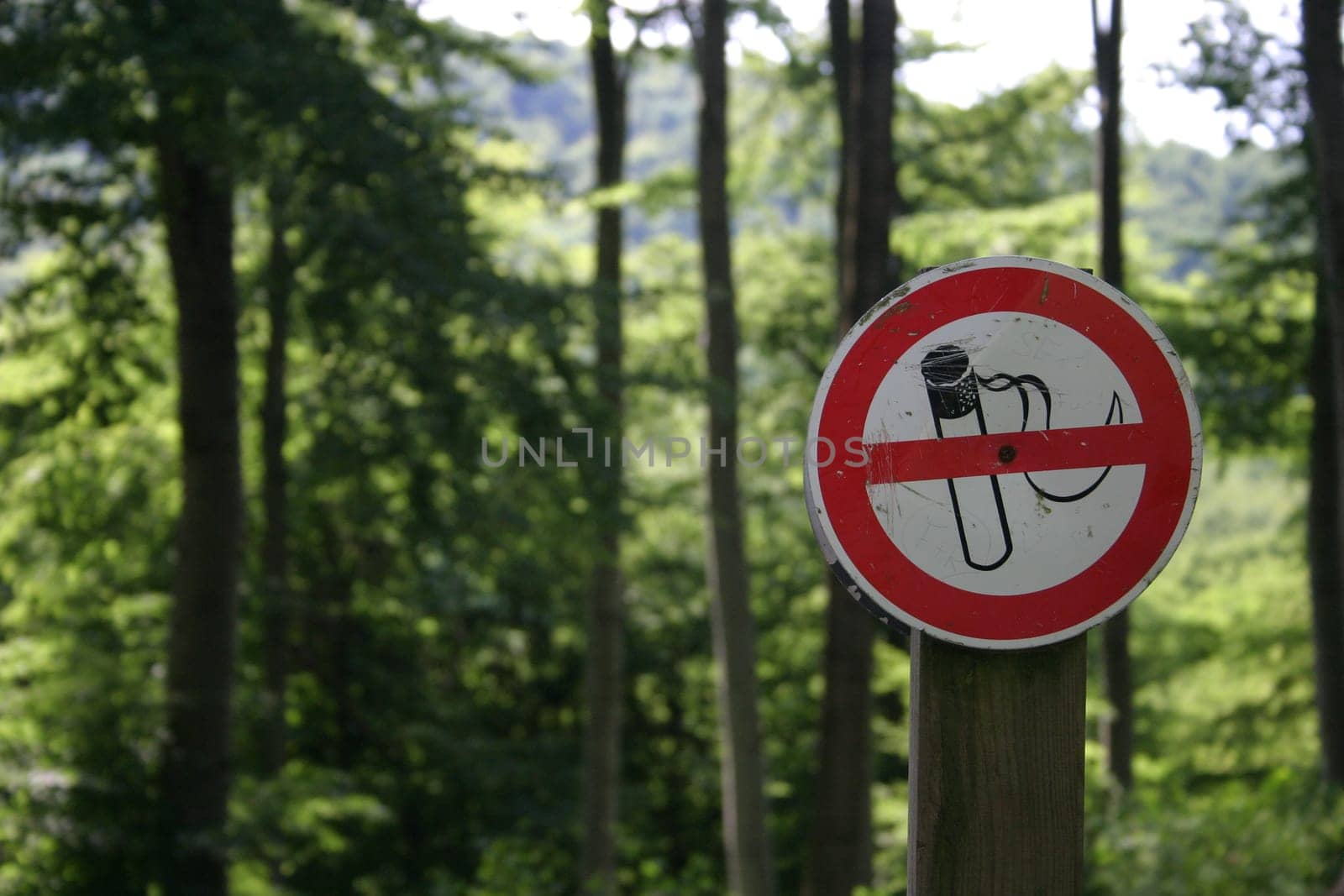 Risk of forest fires