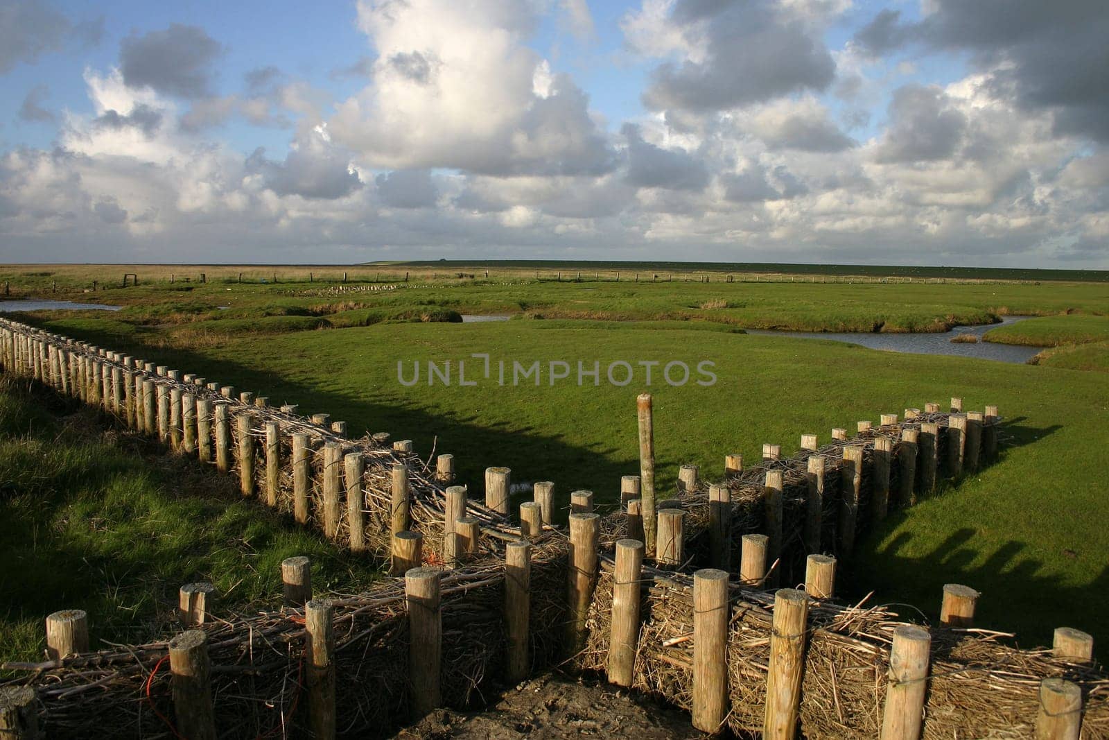 Wadden meadows