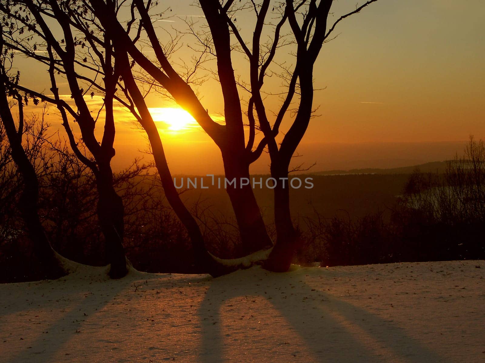 long shadows