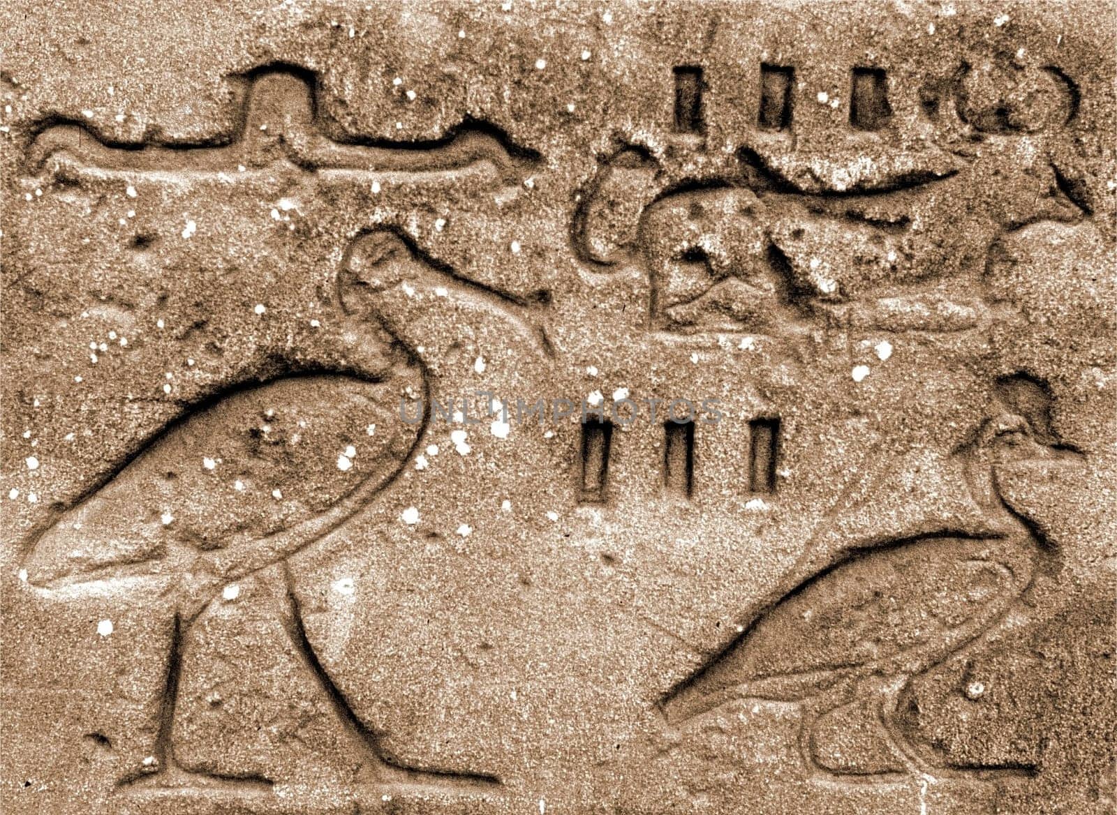 Hieroglyphics. Taken at the Amon Temple of Karnak near Luxor,Egypt 1991