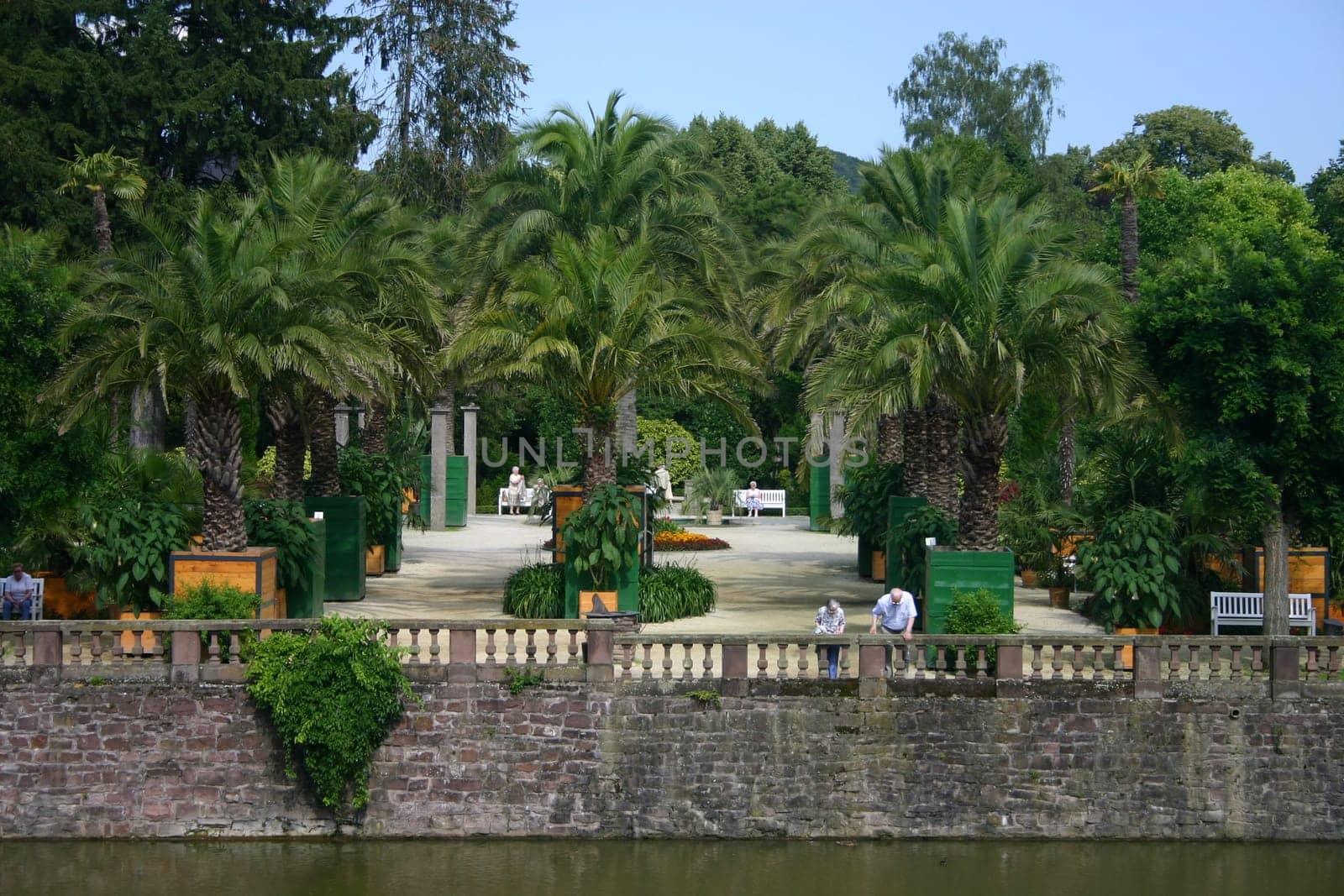 View of the Bad Pyrmont spa gardens with the Plamengarten photographed from the castle.
