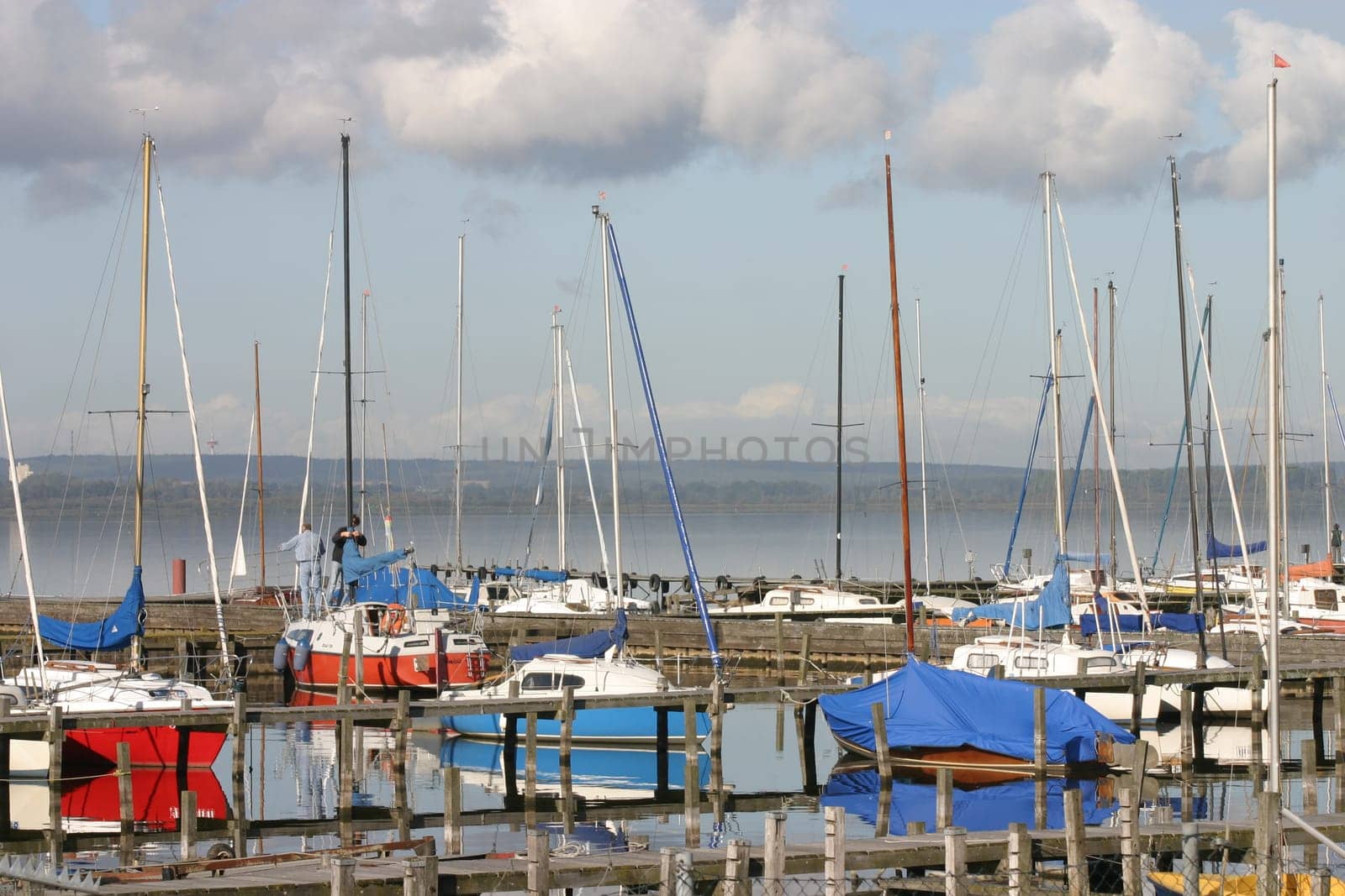 Sailboats Dümmer See