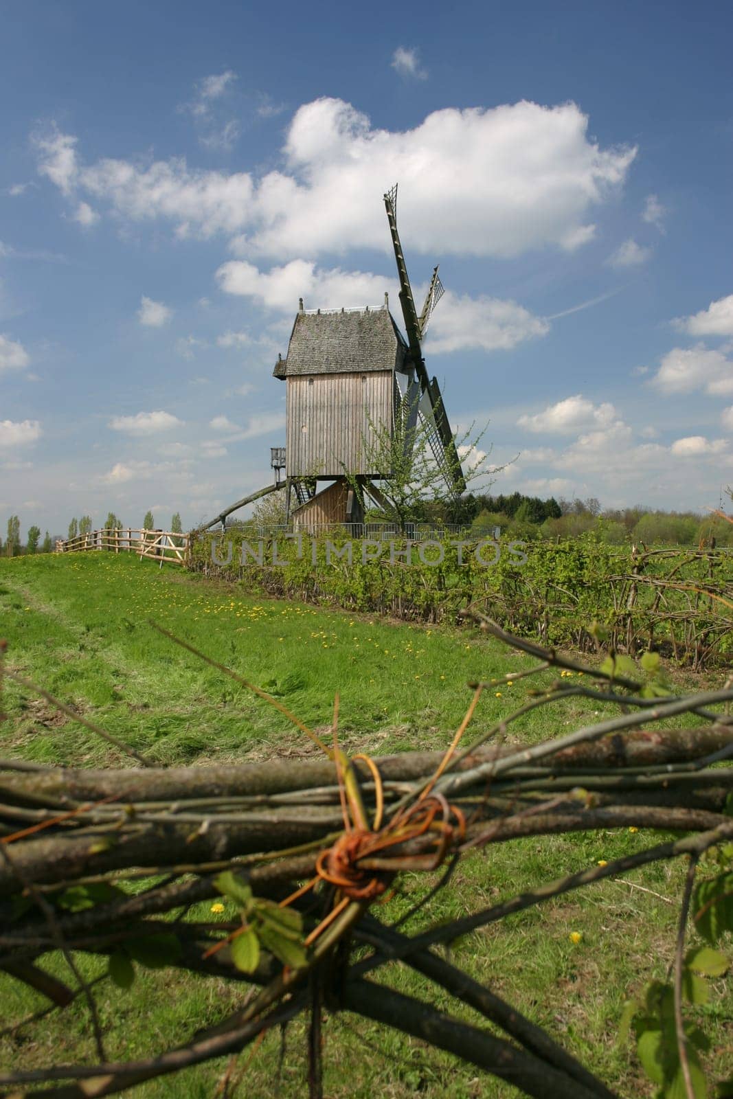 Bockwindmühle