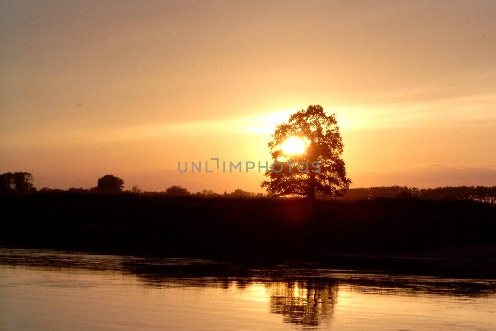 sunset or (sunset beach) or (sunset nature) or (sunset skyline)