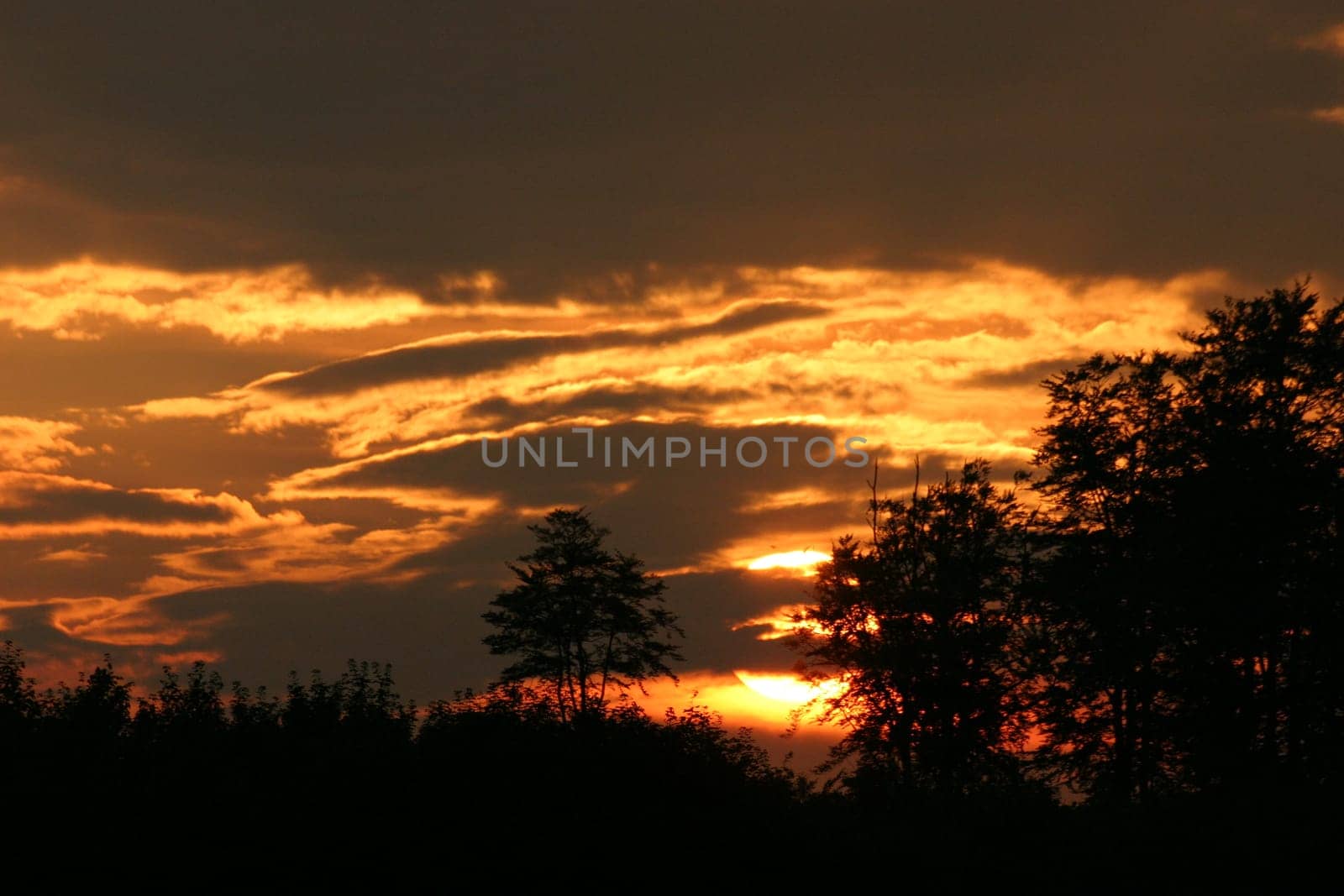 Embers in the sky