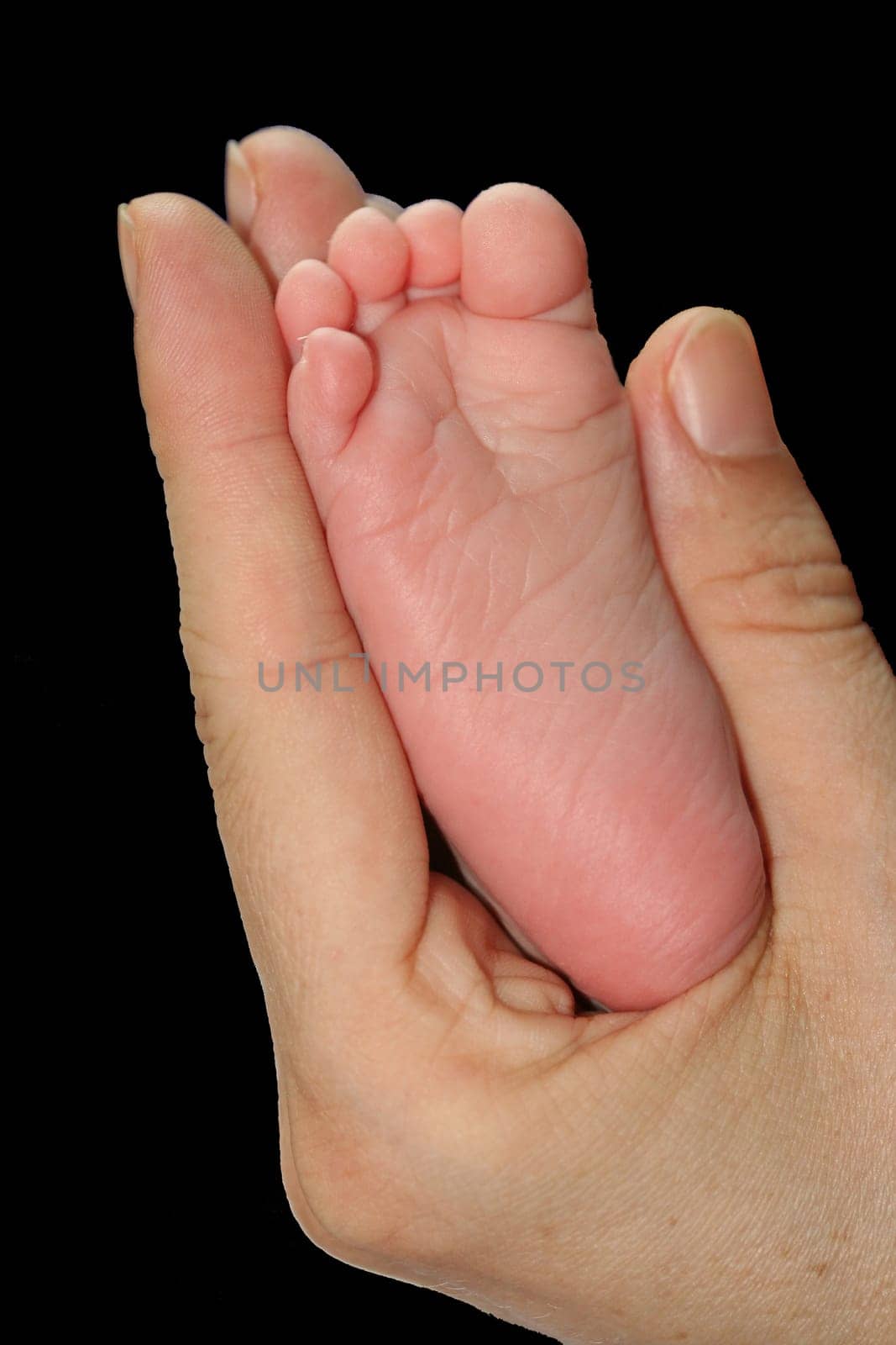 Shoe size 6