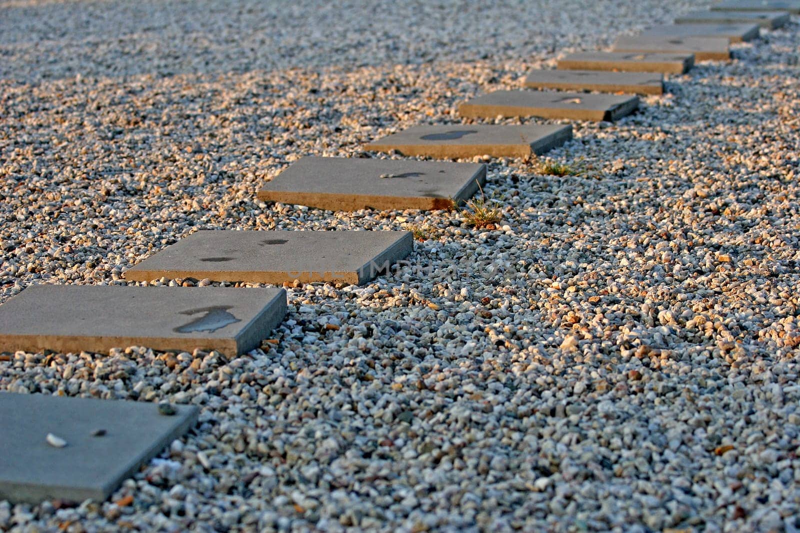 the way
