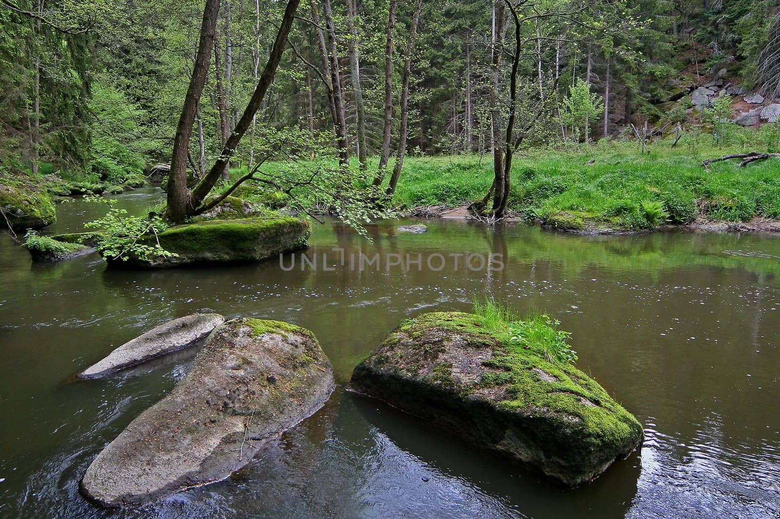 Pure nature