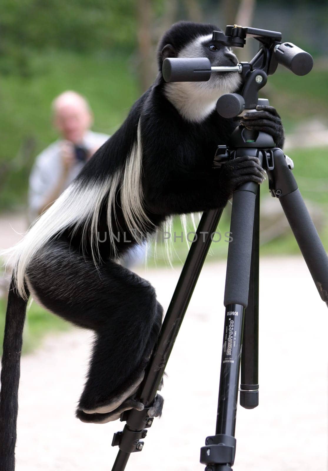 Tripod stability tester