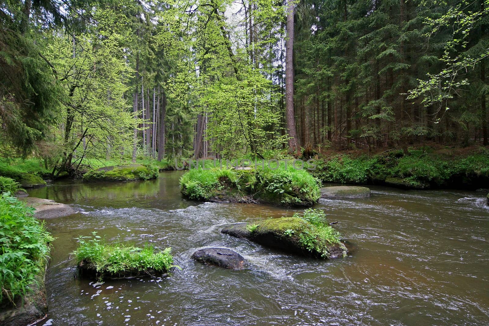 Pure nature (2)