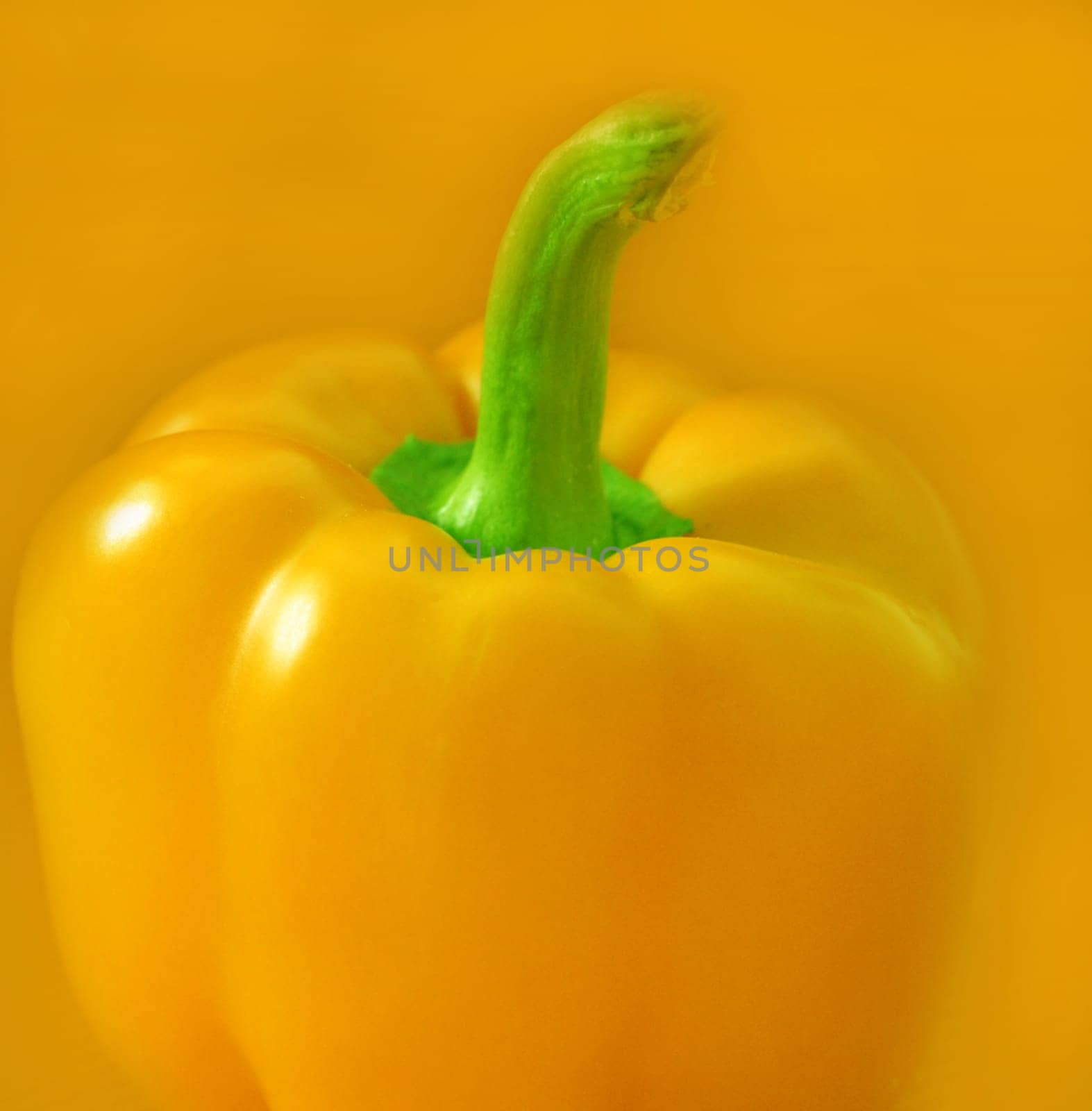 Yellow Edition