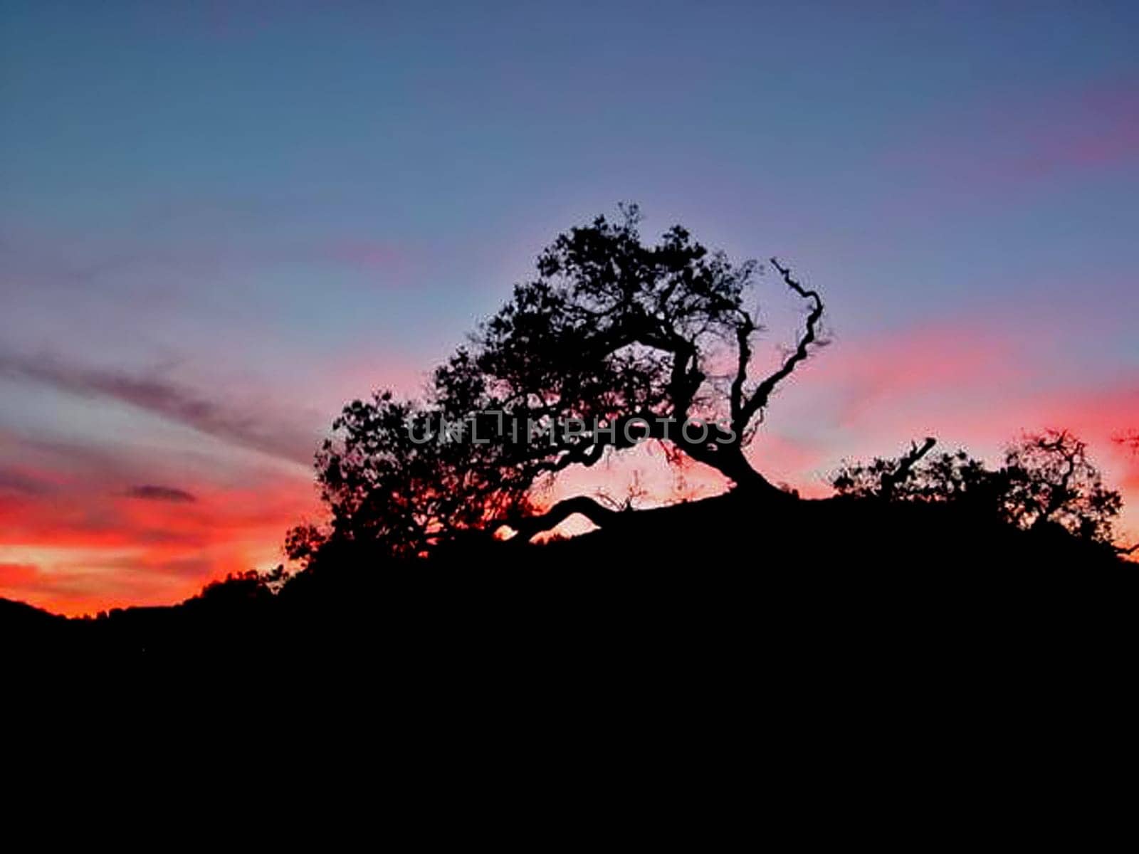 California Sunset 2