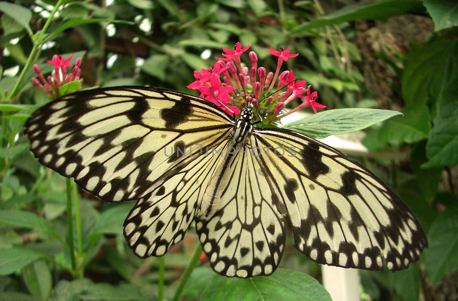 Taken with my small Casio EX-Z4