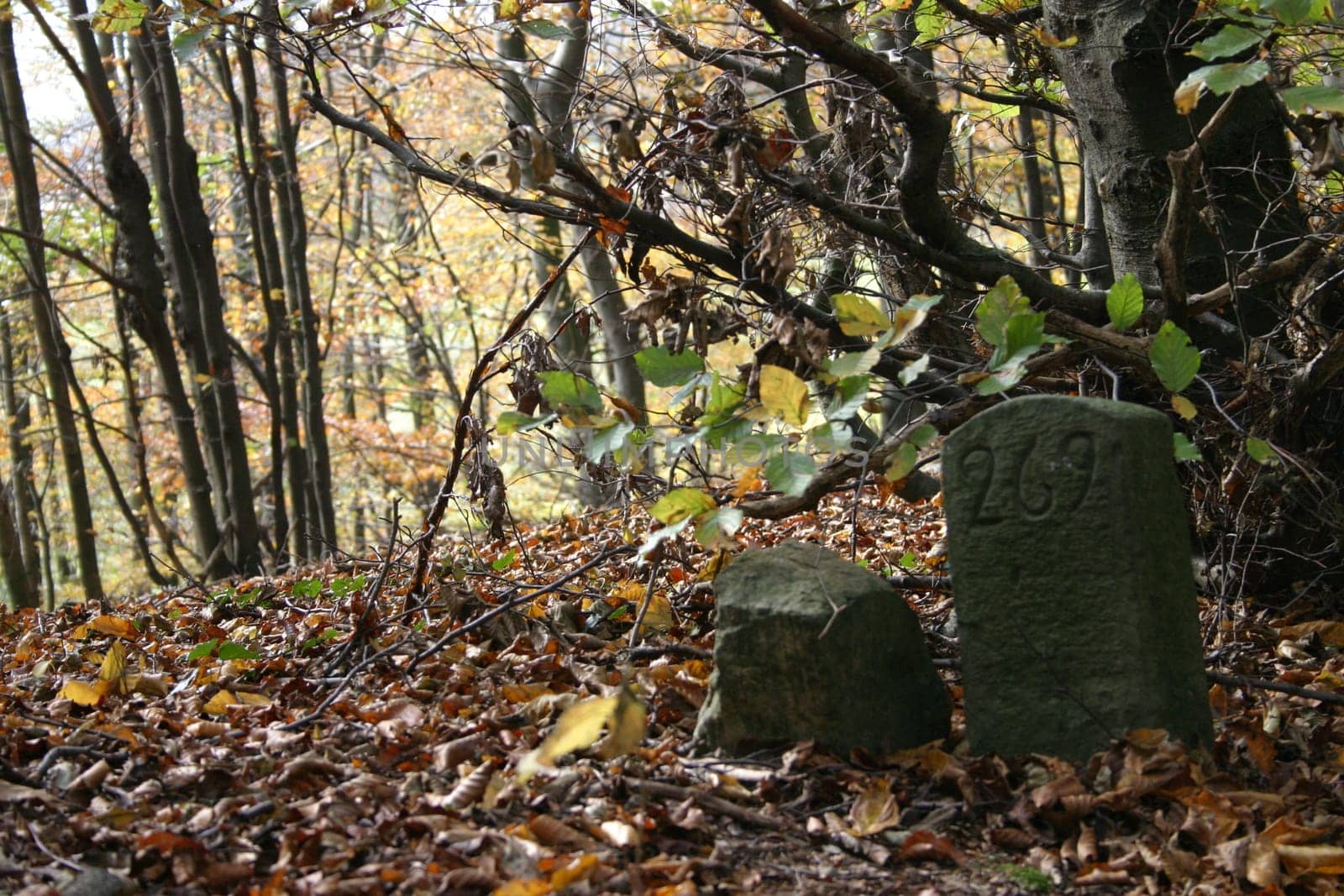 Milestone