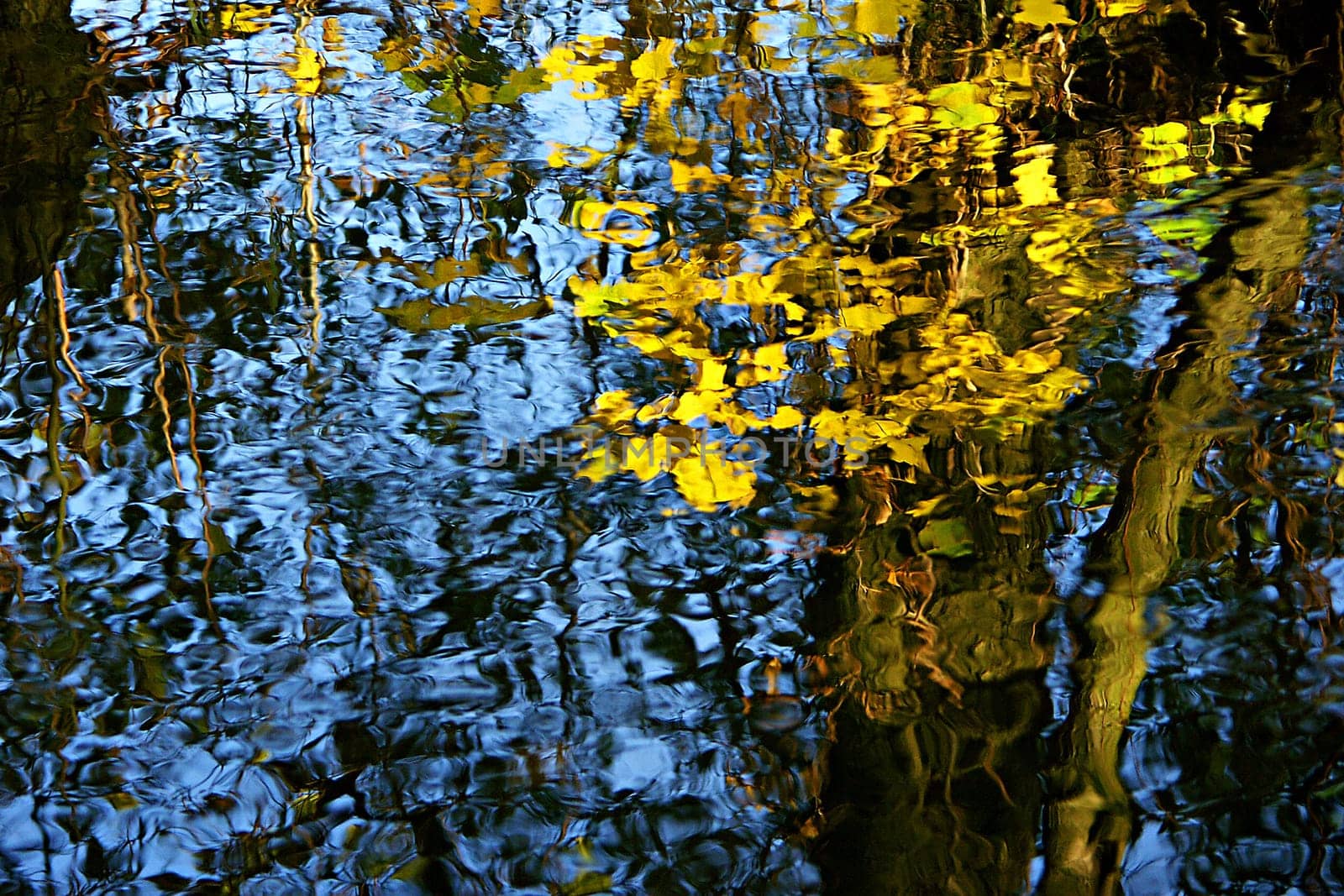 autumnal reflection