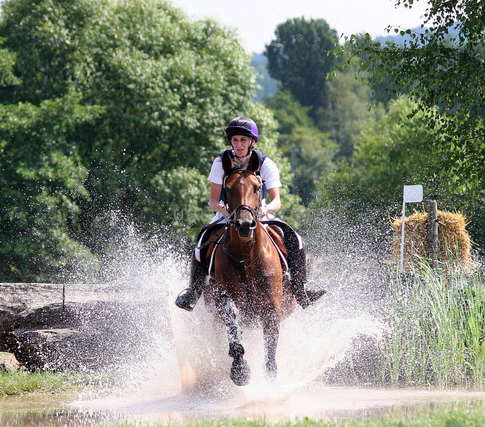 CIC* Eventing with sighting for the European Championships in Niederweimar.More about this under www.tierfotos-az.de