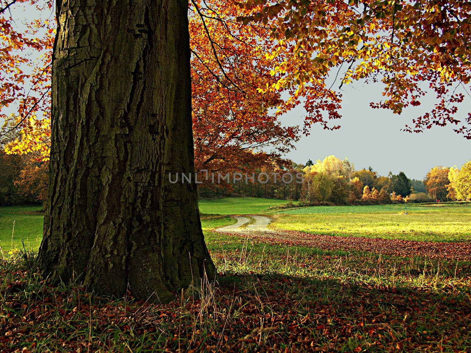 Autumn is coming soon...