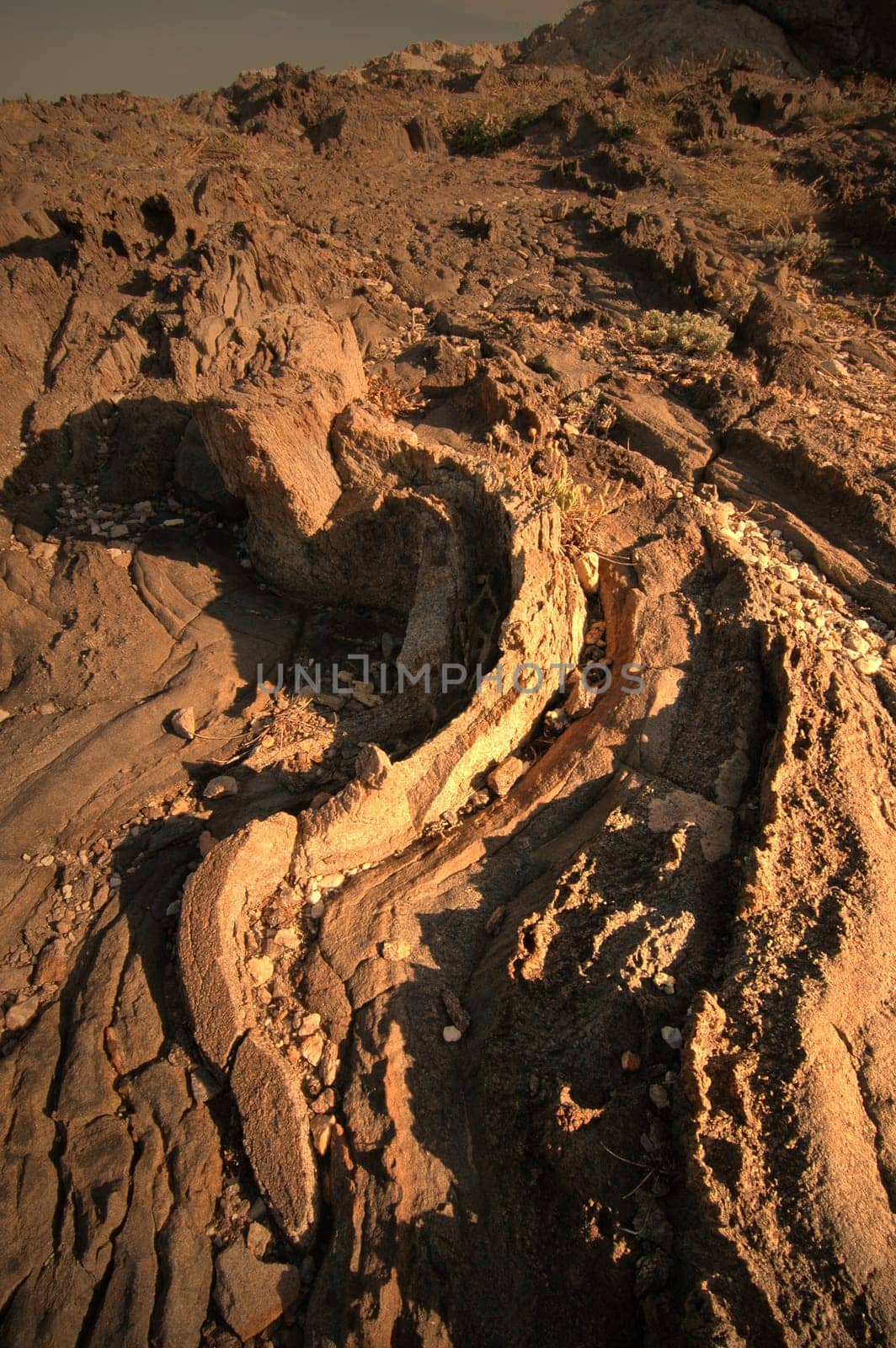 Created at Cap de Creus on the Costa Brava in July 2005.