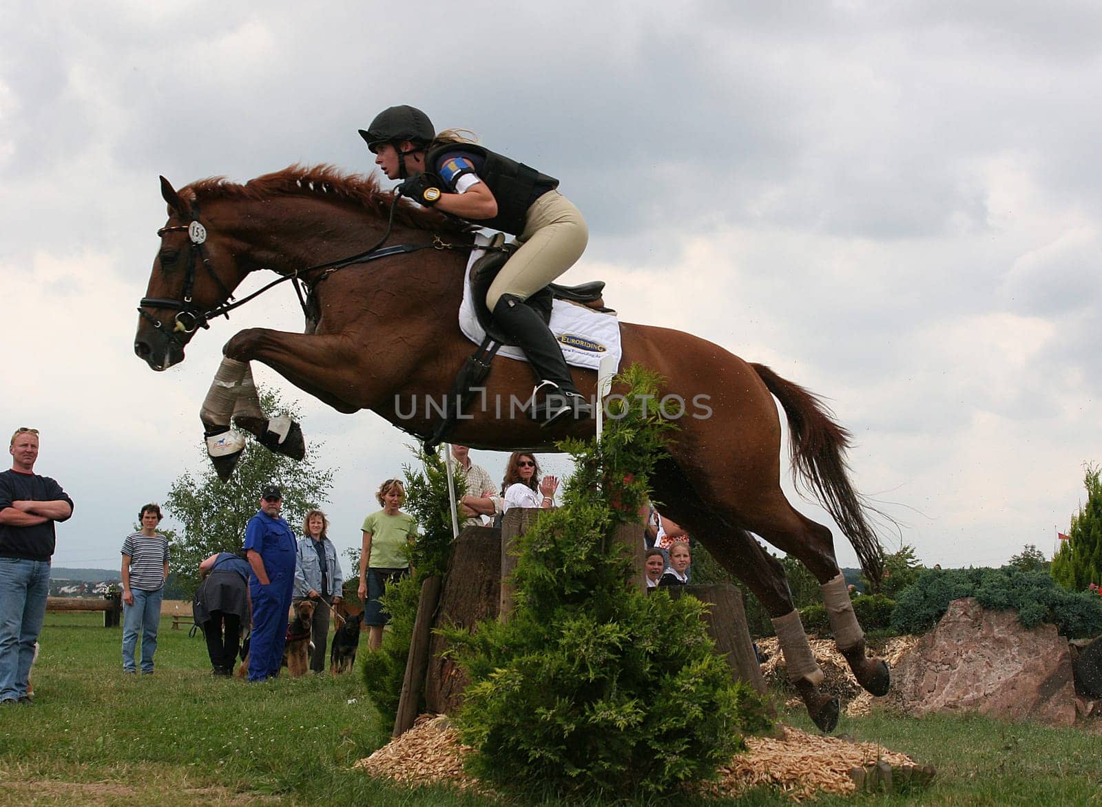 Jump over the so-called Pempel consists of tree stumps about 1.40m high and 1m wide.