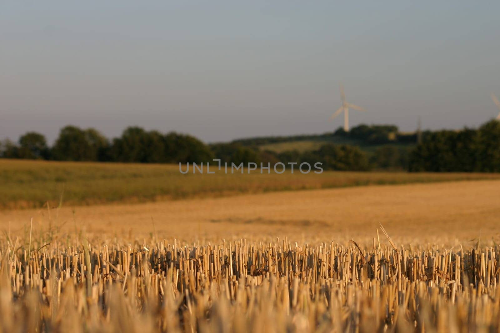 Harvest finished