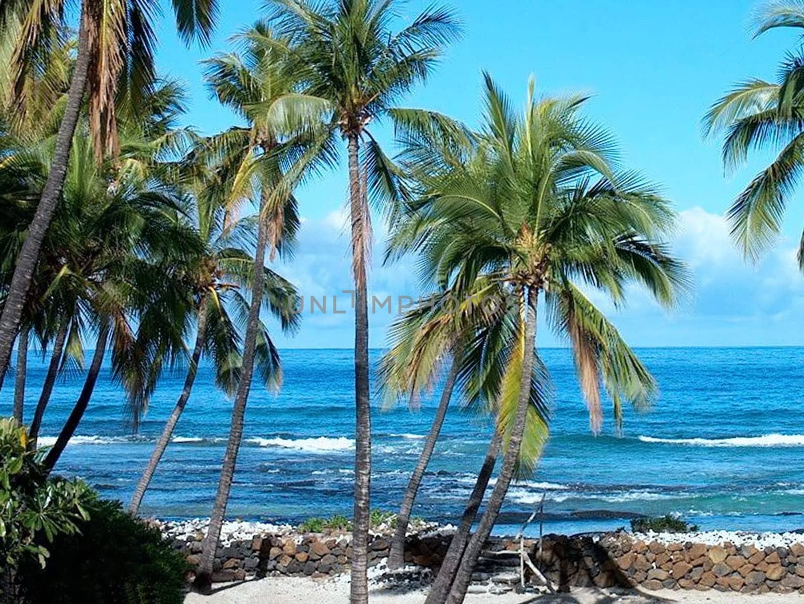 This is what it looks like on the fantastically beautiful island "Hawaii - The Big Iland"" when you look out of the window in the morning."