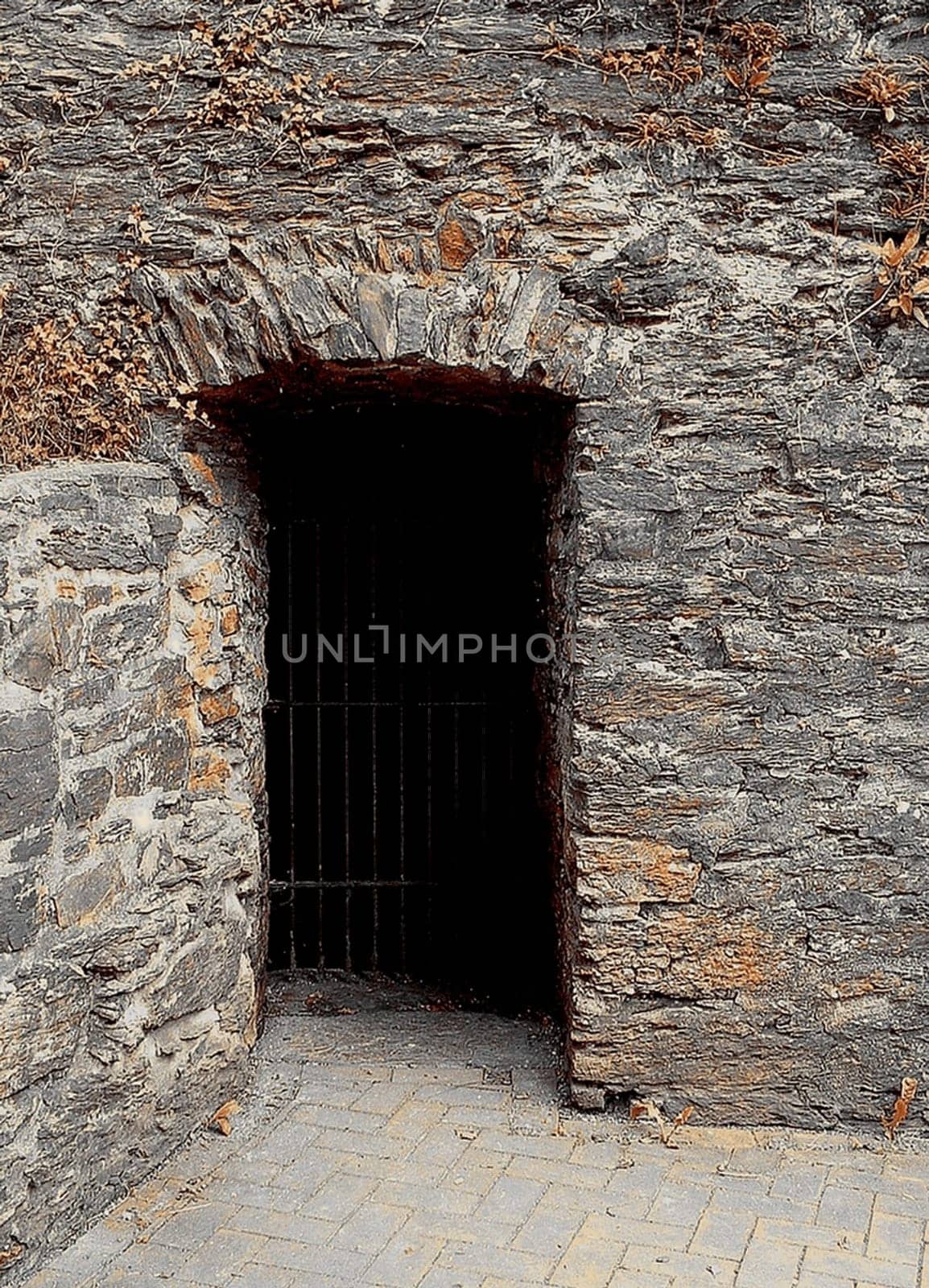 The Cell