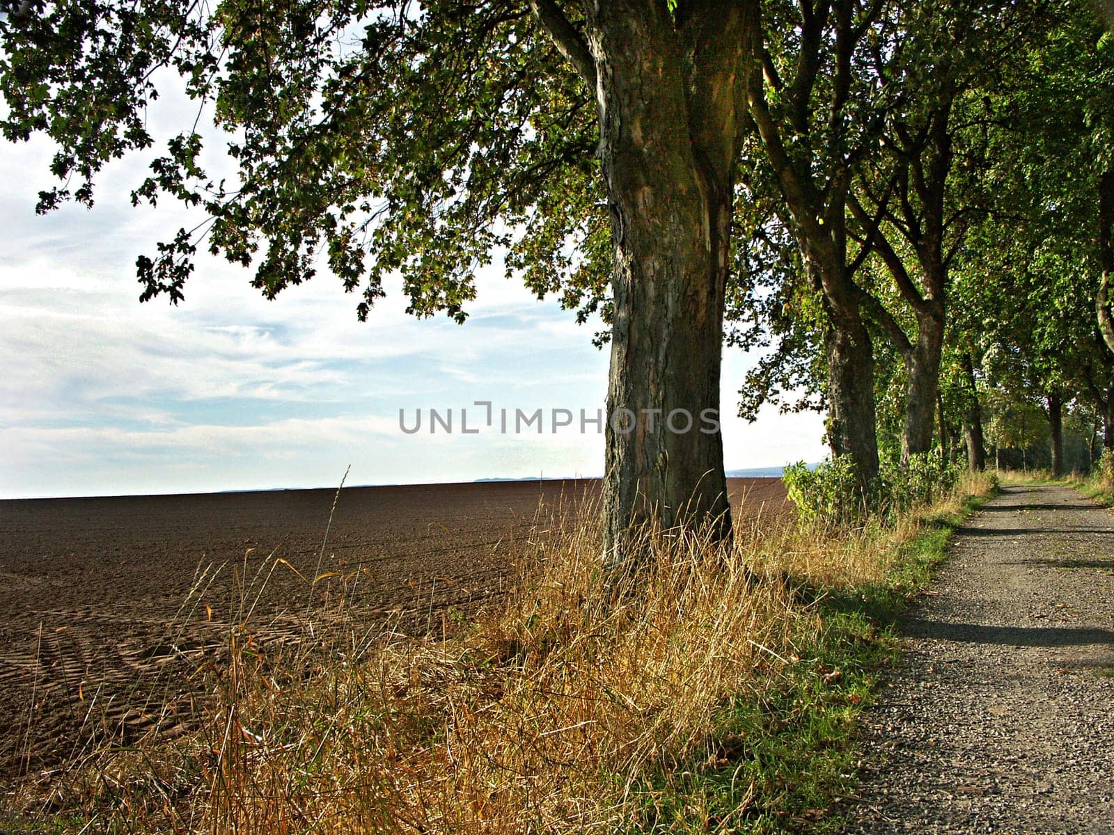 The way