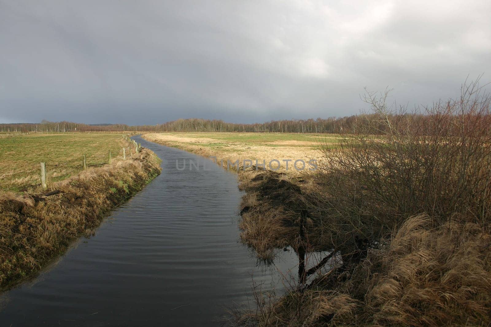 On the edge of the moor