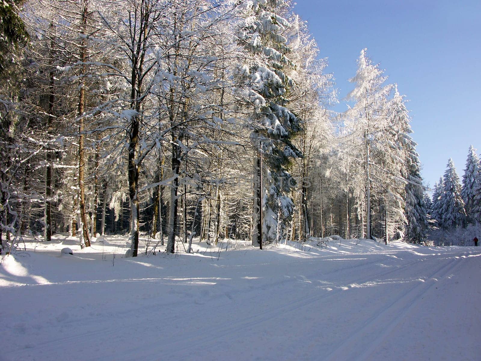 Cross-country ski trail