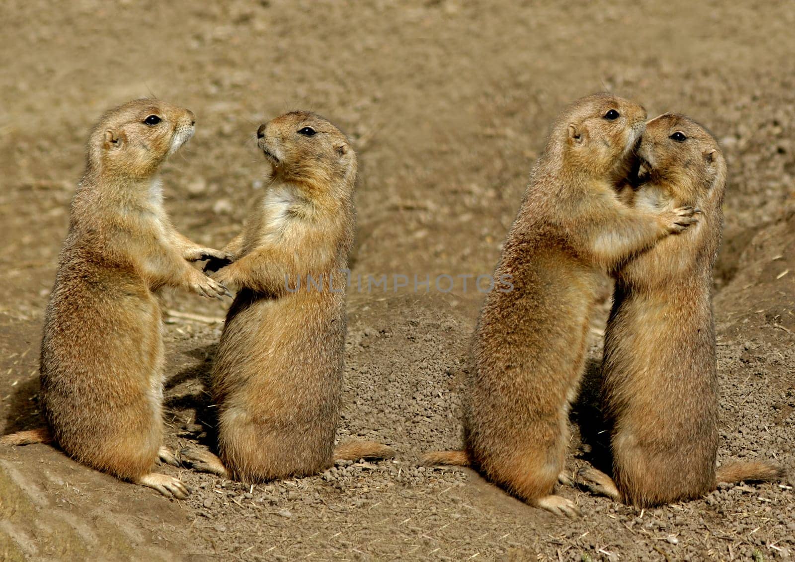 ... Or do we want to dance first -)