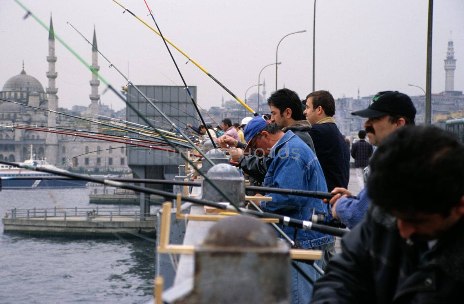 Fish