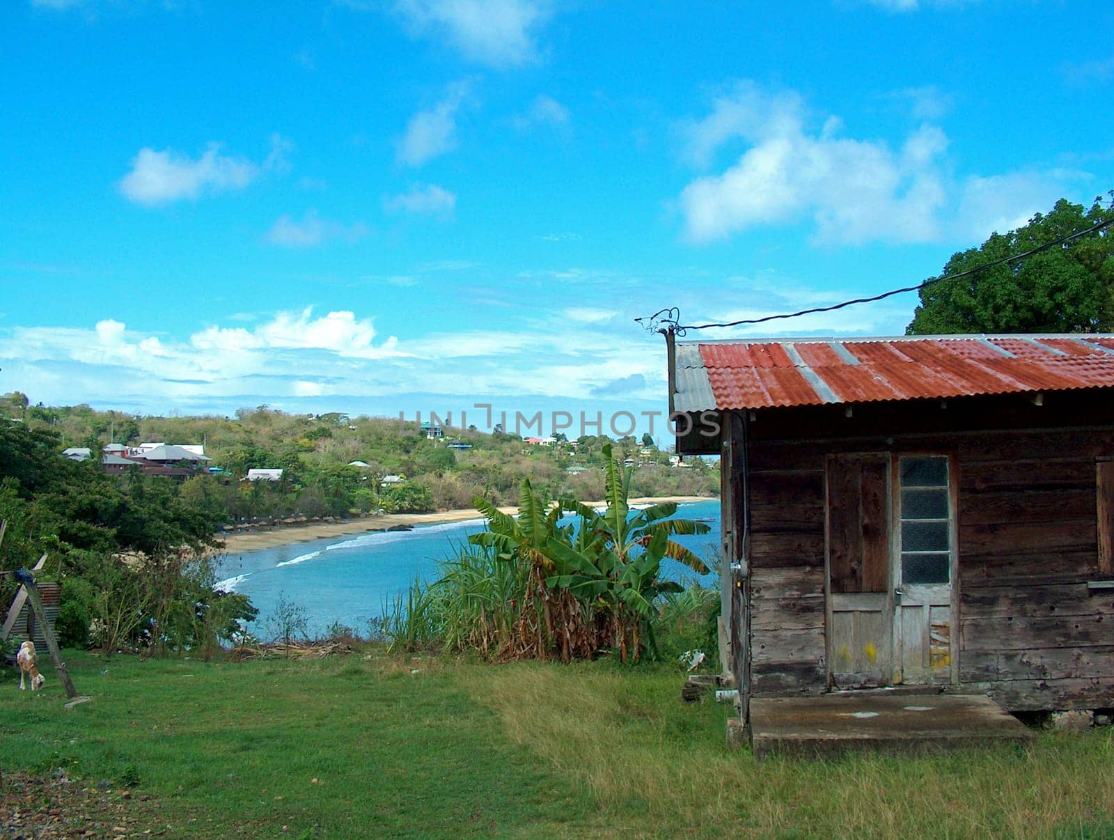 Caribbean