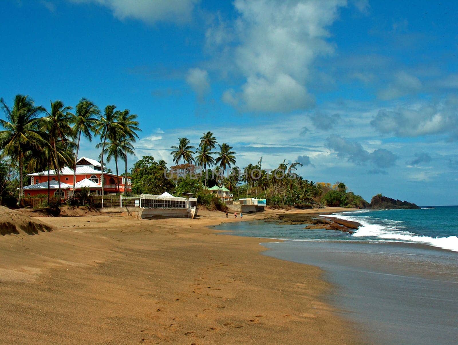 paradise