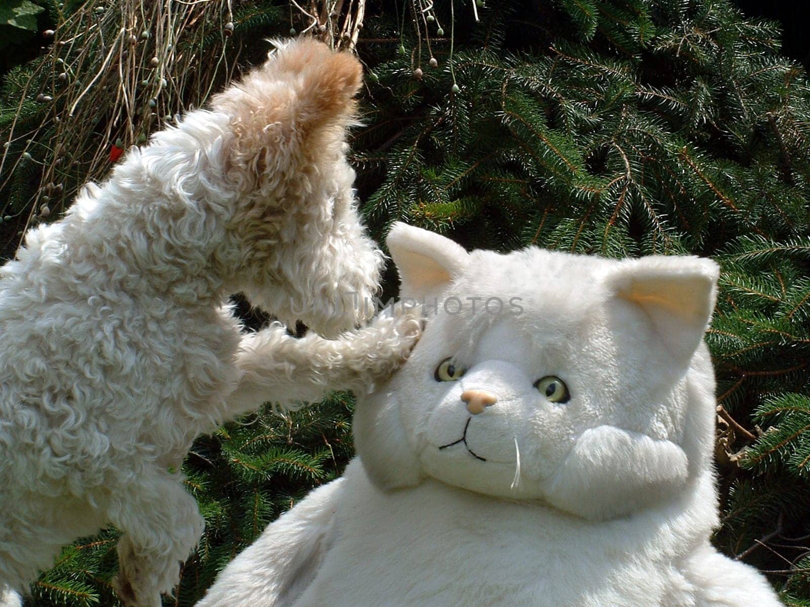 ... Now the fat cat must have been quite frightened!?! -)