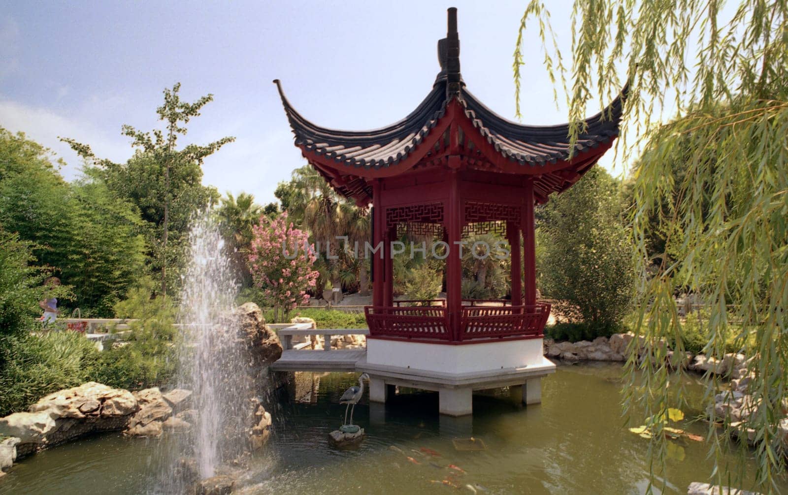 In the Botanical Garden II