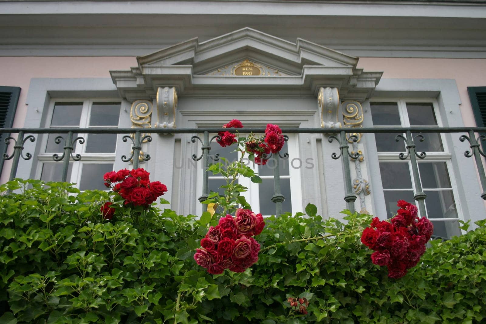 Entwined with roses