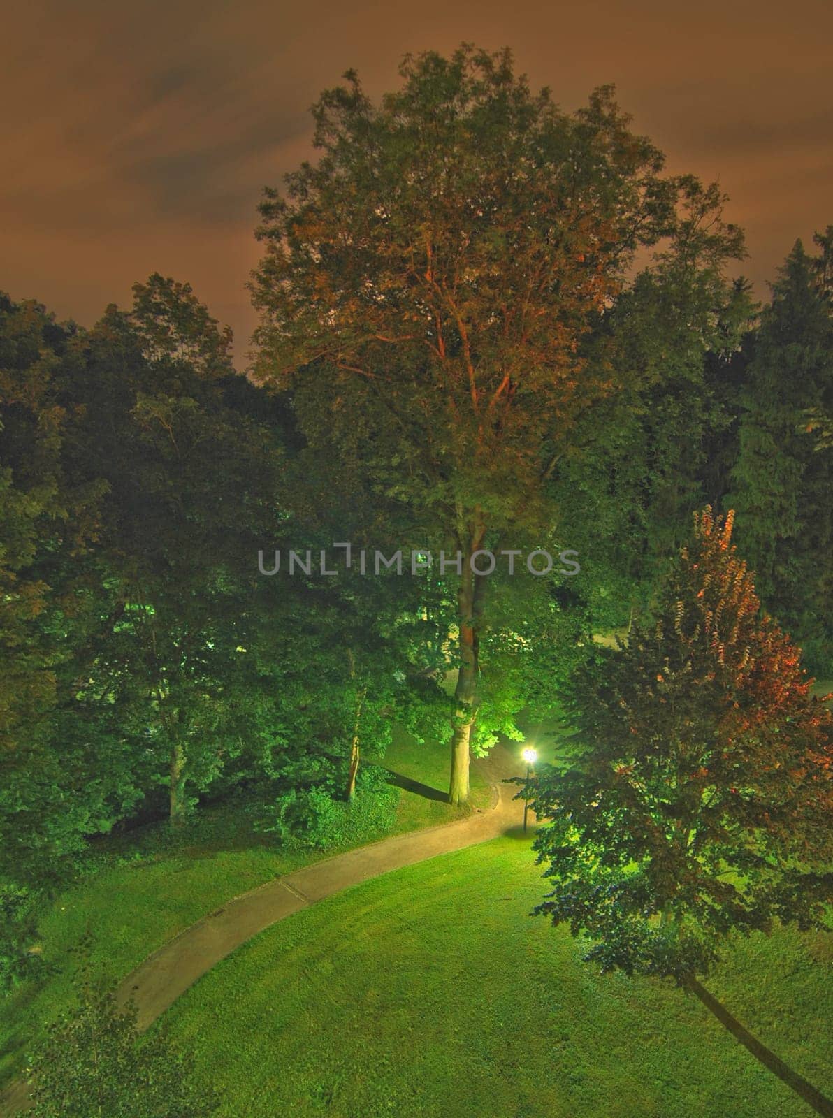 Created in August 2005 in the spa gardens of Bad Soden. Combination of 6 individual shots with exposure times between 2 and 80 seconds.