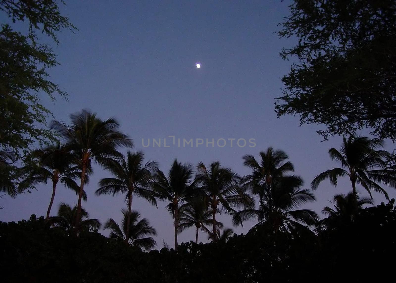 Hawaii at night