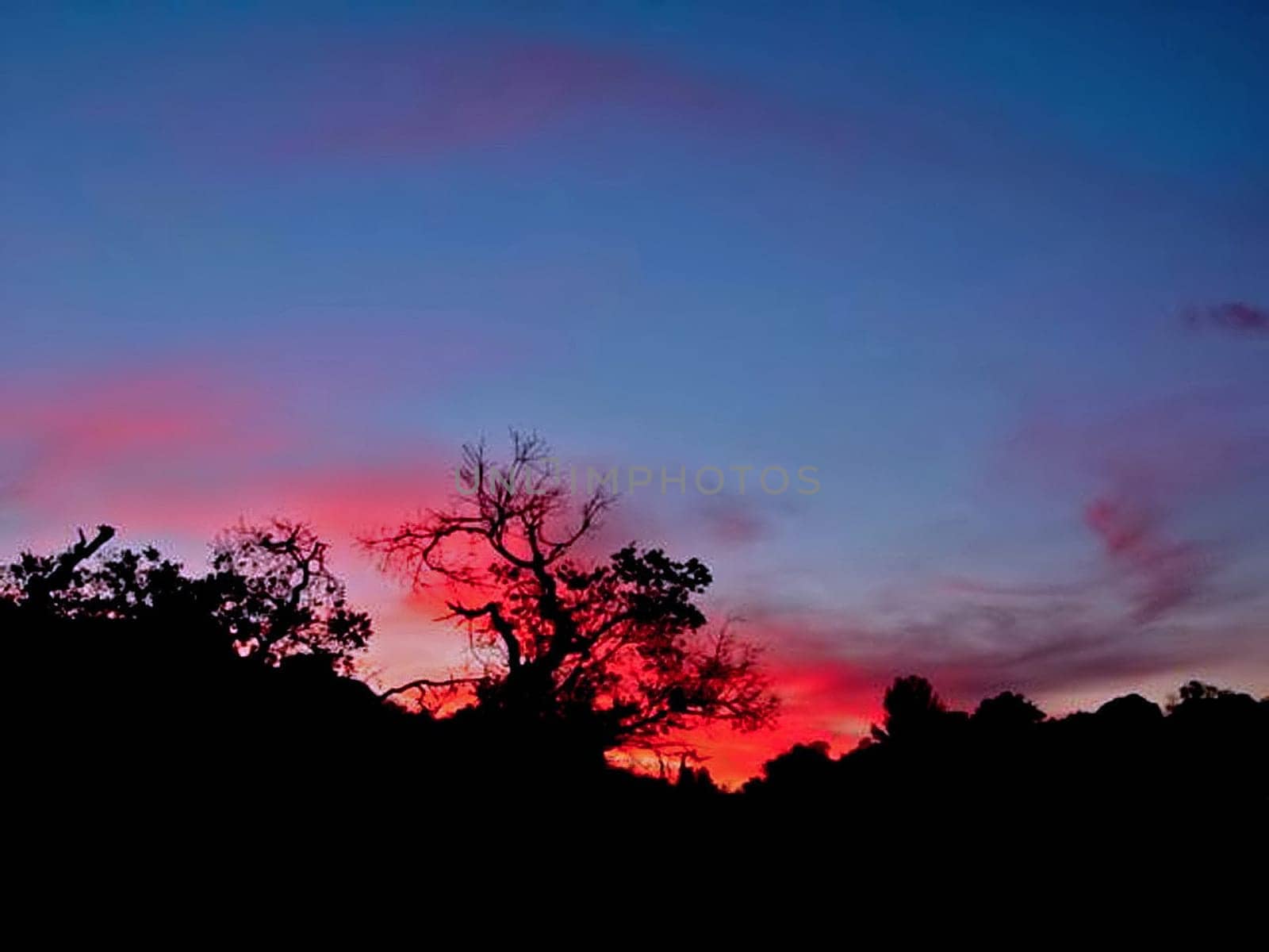 California Sunset 1