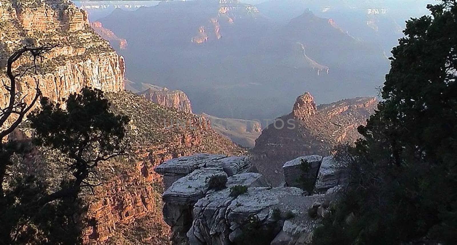 Grand Canyon View