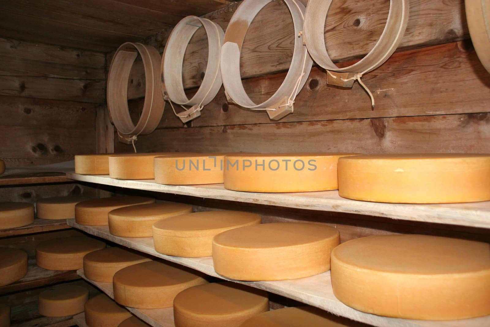 This alpine cheese is cheesed on an alp in the Bernese Oberland in the traditional way in a copper chessi.  Raw milk from happy Simmental cows from the lush grass of the alp is used to make alpine cheese. After production,it matures in the natural cellar and