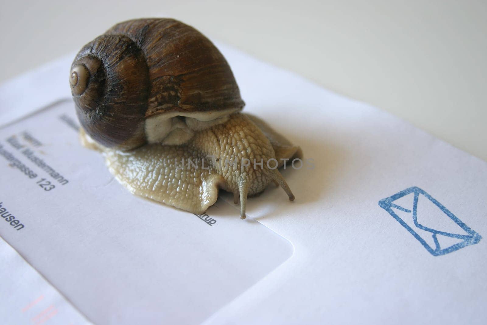 Snail Mail