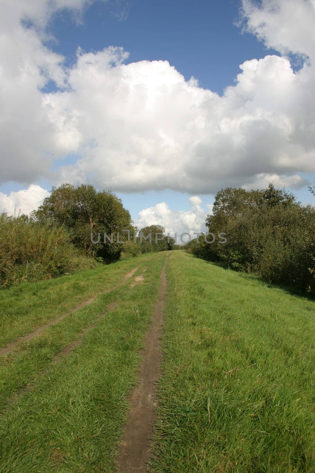 Path to the clouds