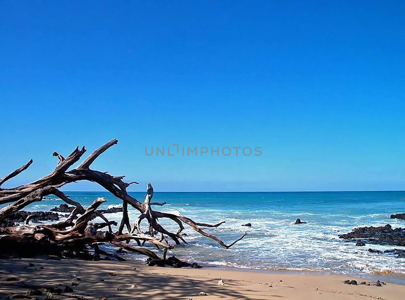 The sandy beach in Hawaii "The big Island"" is unique,as otherwise the natural beaches all consist of black lava sand or stones. The hotel complexes fill their beaches with imported Florida sand."