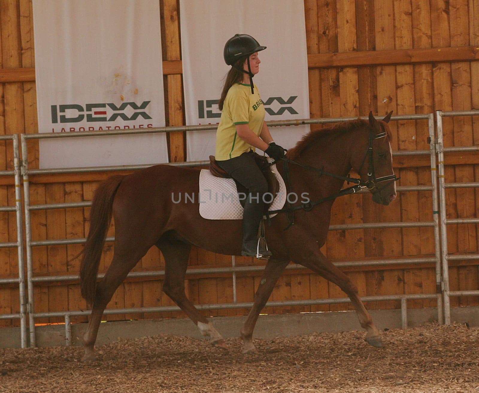 Riding lessons