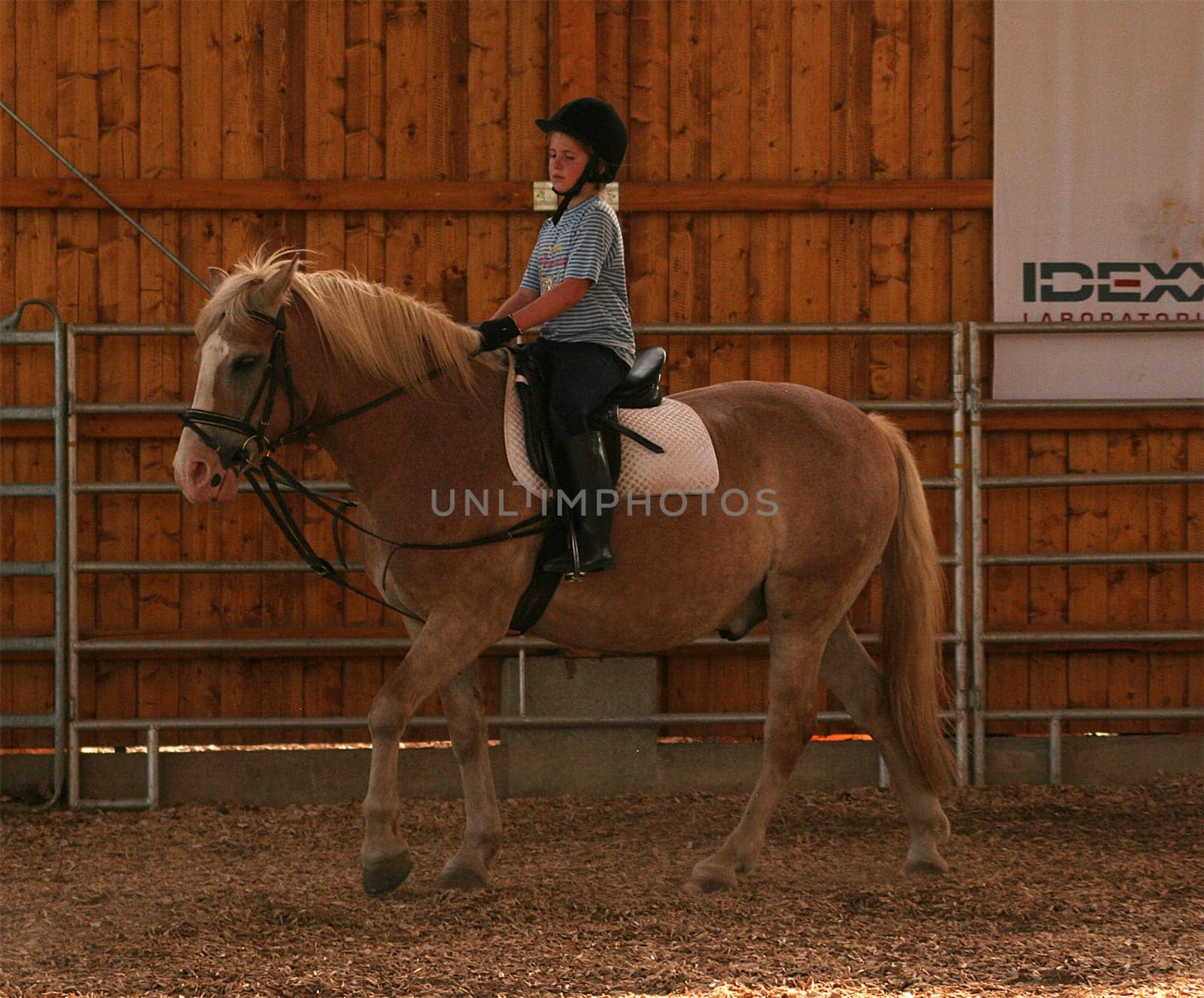 Riding lessons