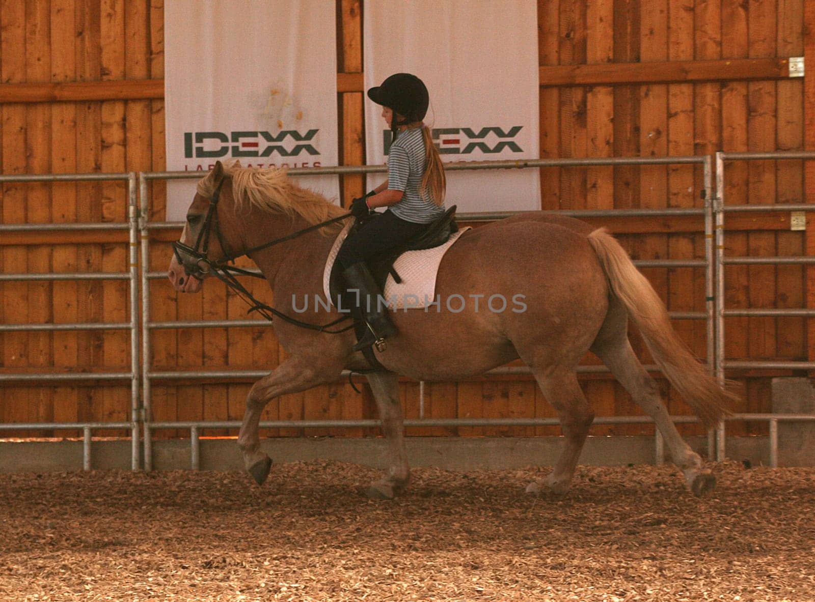 Riding lessons