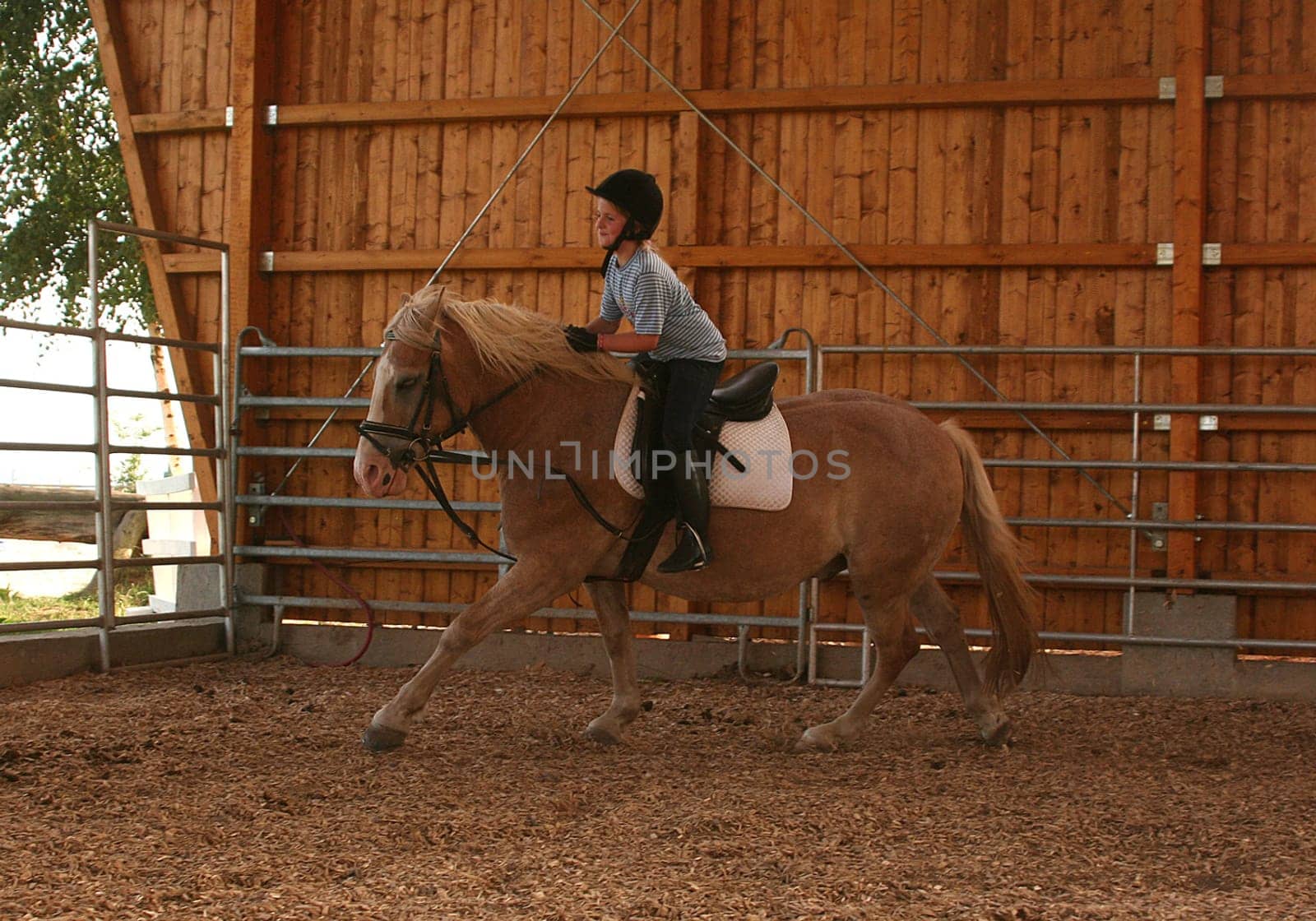 Riding lessons